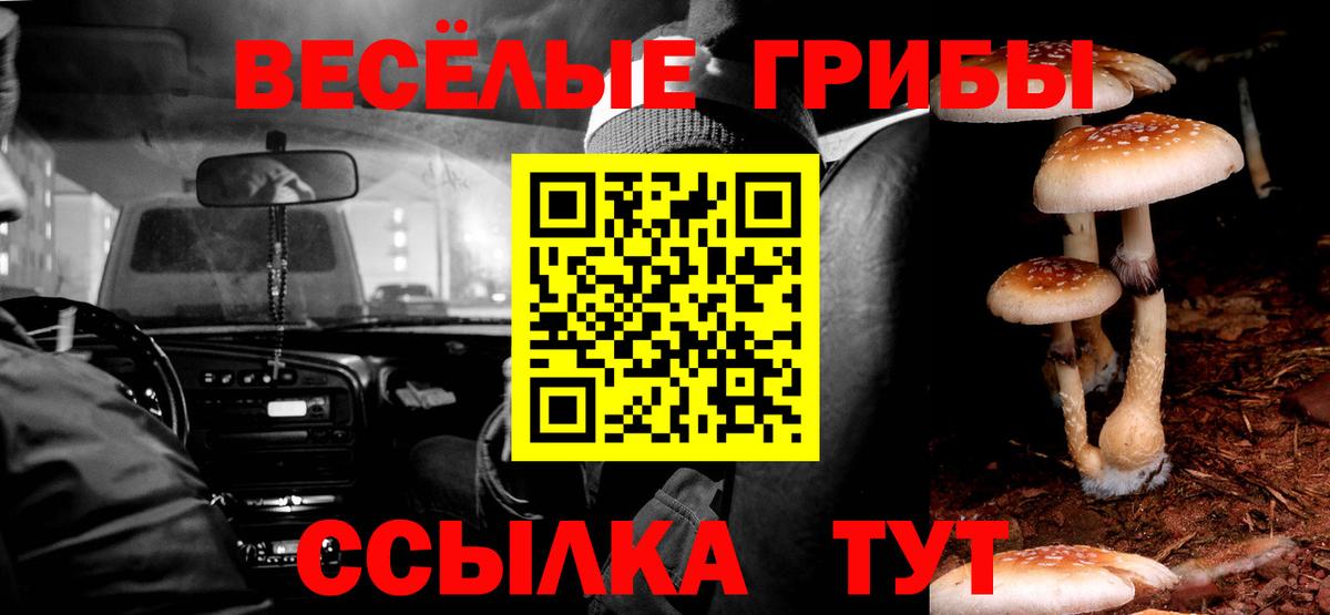 Артём  Псилоцибиновые грибы Cubensis  Вход с VPN 
